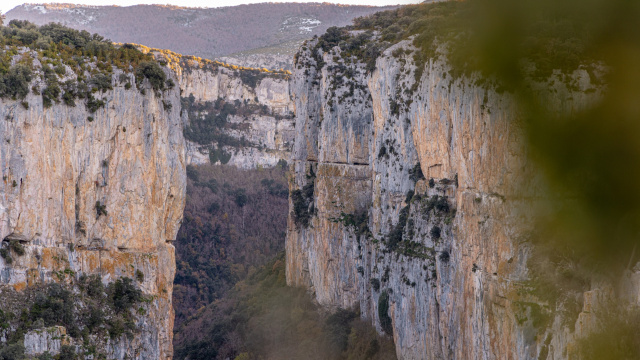 ARBAIUNGO ARROILA