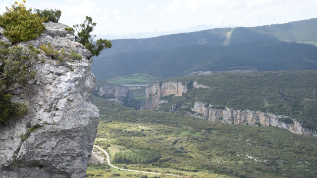 La Piedra eta San Adrian labarren Natur Erreserba