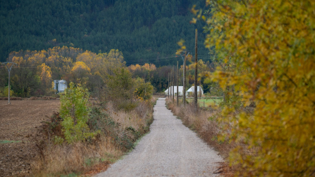 Embranchement vers le sentier naturel d'Irati Agoitz-Villabeta