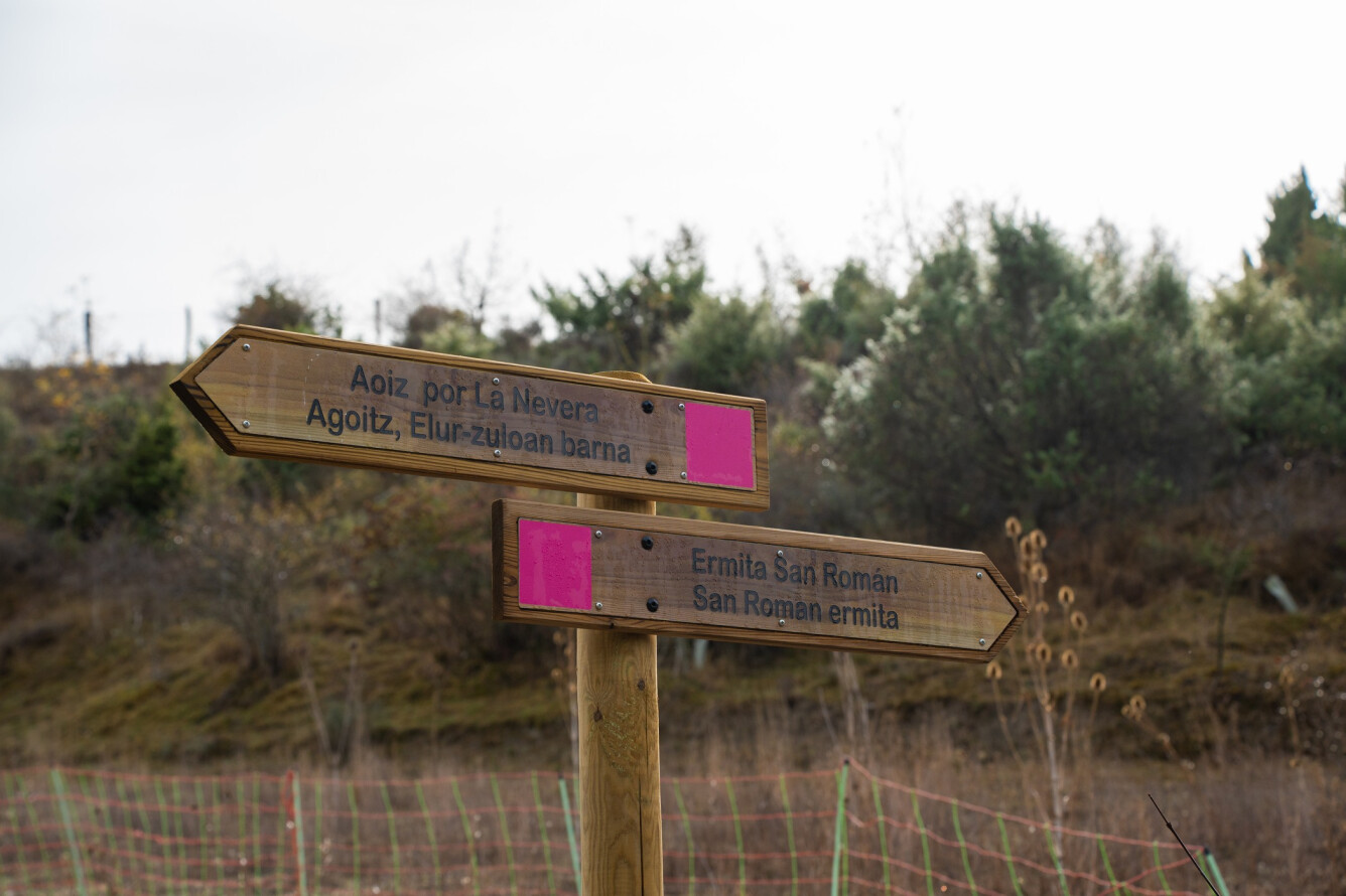 Ruta 5-San Roman-La Nevera