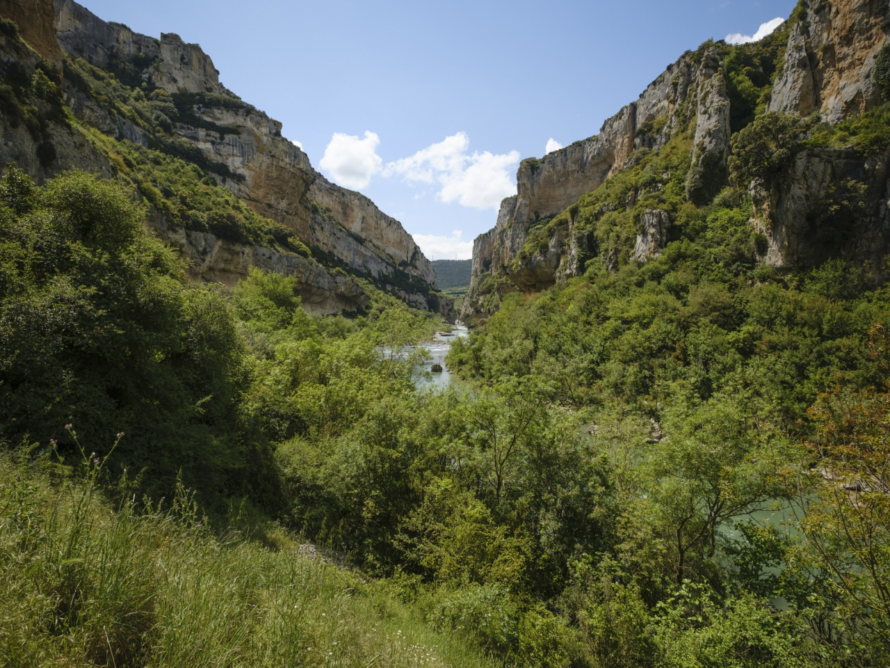PRI_20RU-LUM-023.jpg