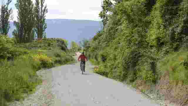 VUELTA OLAZ TRAIL