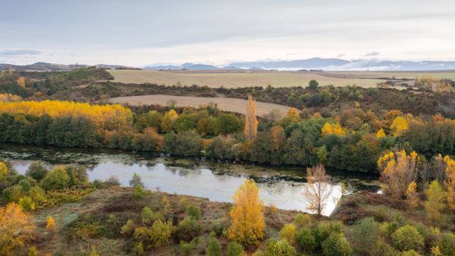 CALZADA ROMANA DEL PIRINEO