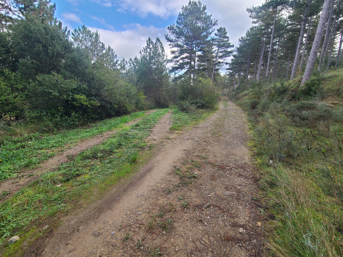 RUTA BTT PACO UGASTI