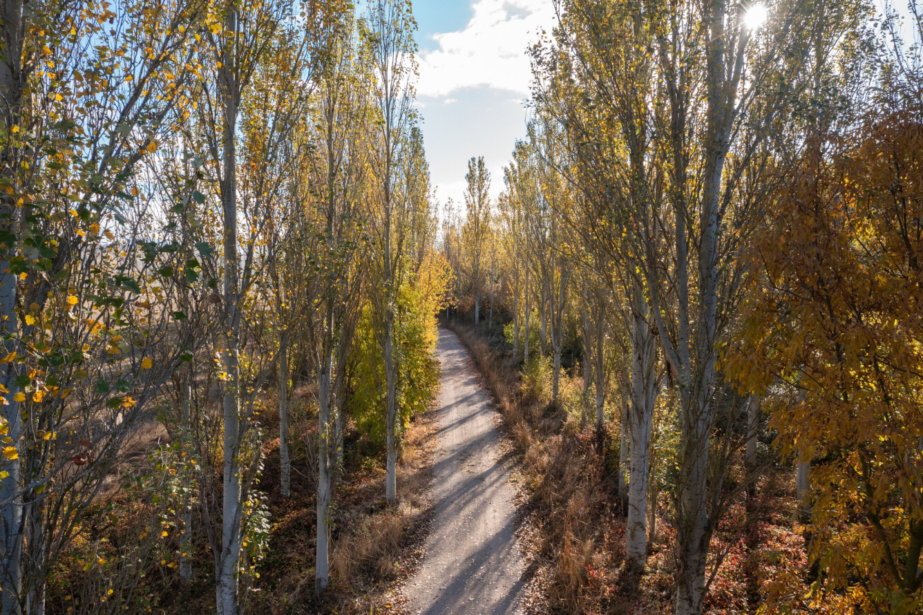 Sendero Río Erro - Urroz-Villa