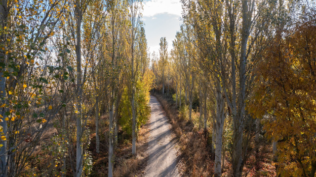Erro ibaia - Urroz-Villa bidezidorra