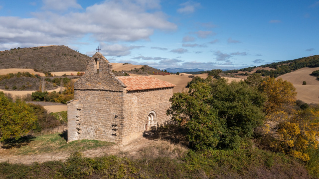 SAN MARTÍN ELIZA