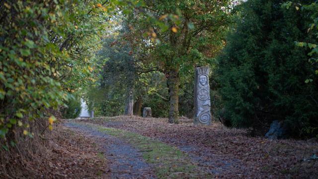 PARQUE CELTA