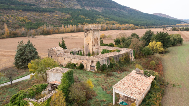 CASTILLO Y TORRE DE AYANZ
