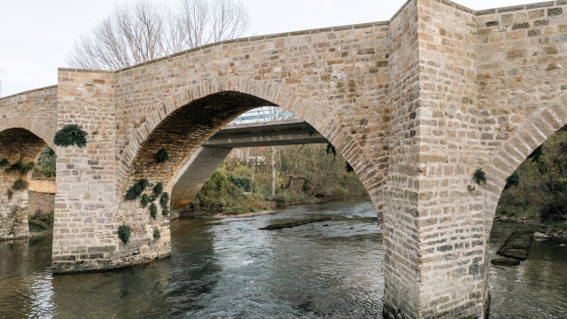 PUENTE DE LA IDA