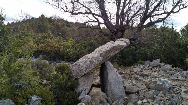 DOLMEN DE FAULO