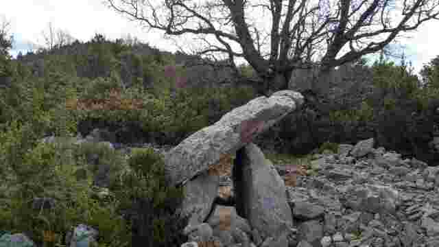 DOLMEN DE FAULO